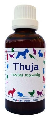 Phytopet Thuja Tincture 100ml