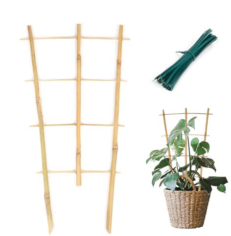 Cambaverd Pflanzen-Rankgitter für den Innenbereich, Bambus-Spalier mit Bindebändern, 40,6 cm, fächerförmige Pflanzenspaliere für Topfpflanzen, Hoya-Reben, Monstera-Zimmerpflanzen, 6 Stück