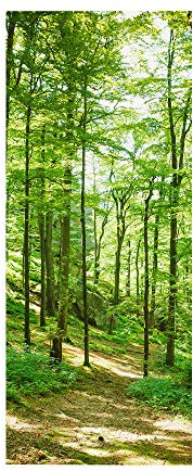 VIRANDA Türtapete Selbstklebend TürPoster - Hain - 3D Türaufkleber Wasserfest Türfolie für Schlafzimmer Gang Tür verschönern deko 90x200cm