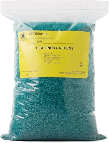 R&R SHOP – gräsfrön, Dichondra Repens, ursprung USA, resistenta och dekorativa (4500gr - 500mq)