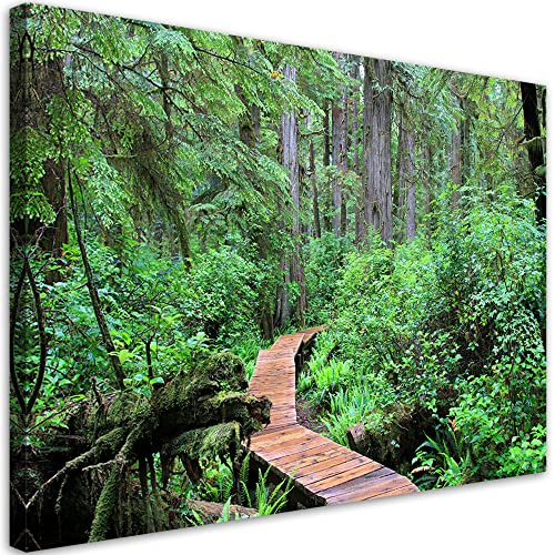 Feeby Non-Woven Duk Tryck Träd Natur Skog 90x60 cm Tryck Väggmålning Väggdekoration Deco Wall Estetisk Växter Torkskog Fotbrygga i skogen Grön