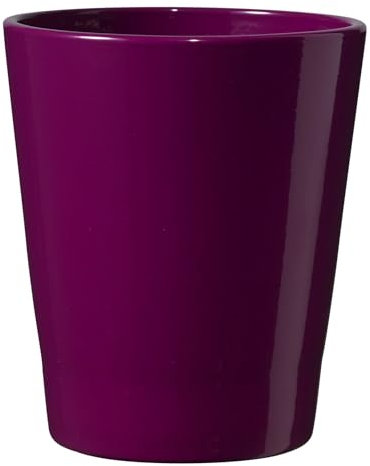 Maceta macetas MACETEROS MACETA FLORERO ZARZAMORA Brillante 14cm