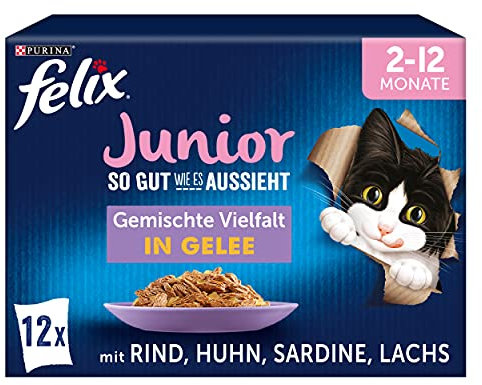 FELIX So gut wie es aussieht Junior Kittenfutter nass in Gelee, Sorten-Mix, 6er Pack (6 x 12 Beutel à 85g)