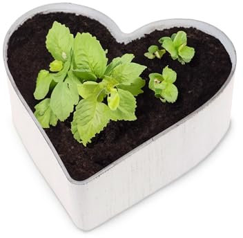 Cuenco para plantas con forma de corazón, vintage, color blanco crema, 21 x 20 x 7 cm, resistente a la intemperie, decoración funeraria, flor