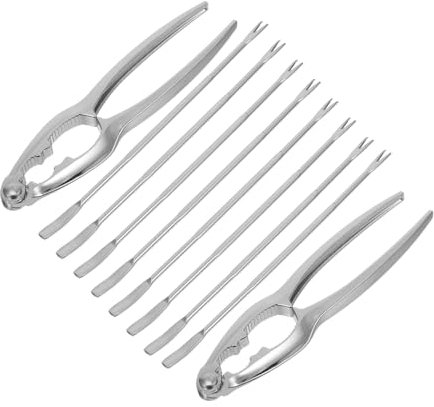 Alipis Attrezzo Per Mare Set Forchette e Stuzzicadenti Per Mare Stuzzicadenti Per Aragoste in Acciaio Inossidabile Forchetta Per Lunga