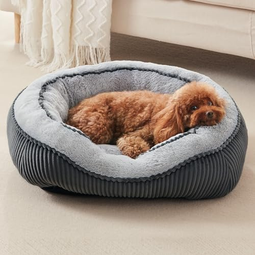 SIWA MARY Washable Dog Bed for Small Medium Sized Dogs, Rectangle Small Puppy Cat Dog Beds, Orthopedic Pet Bed, Soft Breathable Calming Pet Sofa Bed Anti-Anxiety with Anti-Slip Buttom, S(20x19x6)