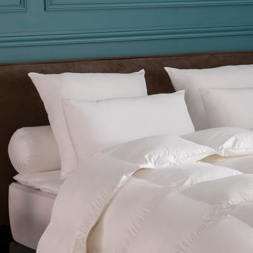 DROUAULT - Oreiller Toucher Duvet 60x60 cm - Soutien Medium | Fibre Creuse Siliconée - Dormeurs sur le Dos - Enveloppe 100% Coton Sergé - Confort hôtellerie - Aérien - Lavable 40°C