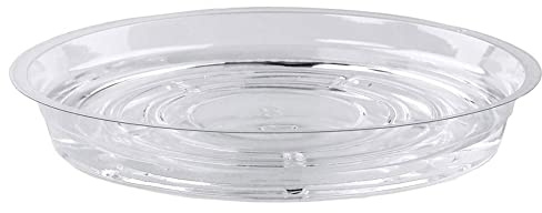 Ghirting Soucoupes transparentes en polypropylène épais et robuste pour plantes, plateaux d'égouttement pour plantes, plateaux d'égouttement pour plantes, de chaque taille (tailles assorties : 15,2