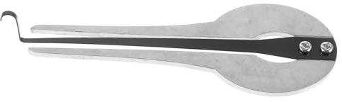 TOGEVAL Leichtes Mundmusikinstrument aus Metall im Ethnischen Stil für Anfänger Tragbare Russische Maultrommel mit Silberner Farbe zum Aufführen von Ethnischer Musik