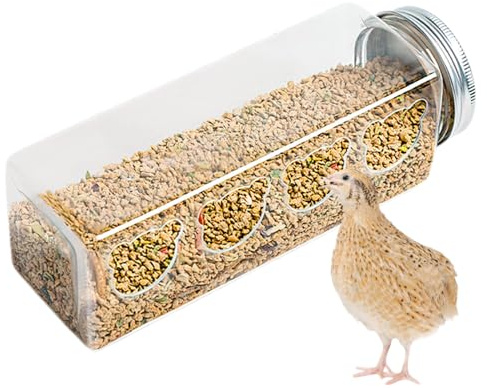 Distributore di cibo per polli – PET, 40 g, set dispenser per quaglie, mangiatoie e ciotole, mangiatoie per uccelli, mangiatoie per pollame in interni ed esterni