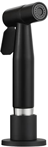 CIENCIA WS030CF Robinet de cuisine amovible en acier inoxydable avec tuyau et support Noir
