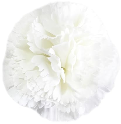 Garofani Fiori Tipici Fiamminghi Andalusia Ornamento Capelli Donna Ballo Fenicottero Fiore Fiamma Garofano Capelli Fiera di Aprile e Romeries, Bianco Ø9cm