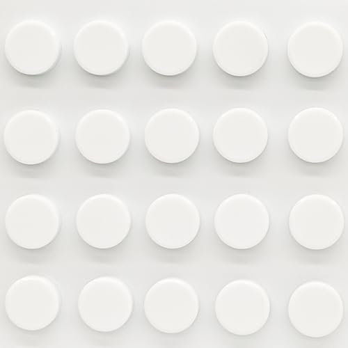 PYJLBX Magnete für Magnettafel, 20 Stück Mini Magnete Stark, Kühlschrankmagnete, Bunte Magnet Rund, Whiteboard Magnete, Kleine Magneten für Tafel, Magnetwand Pinnwand Kühlschrank Klassenzimmer (Weiß)