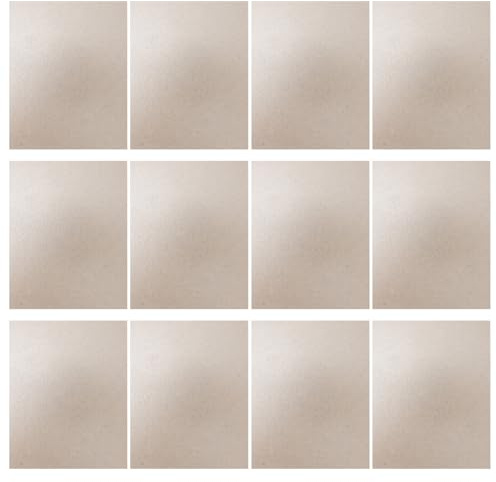 ULTECHNOVO 12 piezas Mica Sheet para Microondas Placa de Repuesto Resistente al Calor Cubierta de Onda para Horno Microondas Aislamiento y Protección contra Quemaduras
