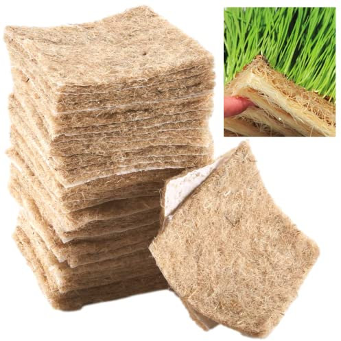 Terrafibre Europe Anzuchtmatte aus 100% Hanf-Faser - 12,5 x 12,5 x 5 mm dick - zur Anzucht von Kresse, Keim-Sprossen, Microgreens, statt Torf, Steinwolle, Moos, Kokos - 300 g/m² - 40 Stück