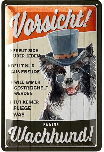 LANOLU Retro Blechschild Vorsicht kein Wachhund, Hunde Geschenke, lustiges Warnschild als Geschenk für Hundeliebhaber und Hundefreunde, Deko Schild Hund, 20x30cm