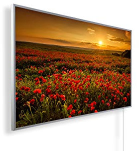 Könighaus 1000W Infrarotheizung mit Bild in HD Qualität - inkl. Smart Thermostat - TÜV SÜD + 5 Jahre Garantie - Doppelter Überhitzungsschutz - Infrarot Wandheizung - Motiv: 48. Sonnenuntergang