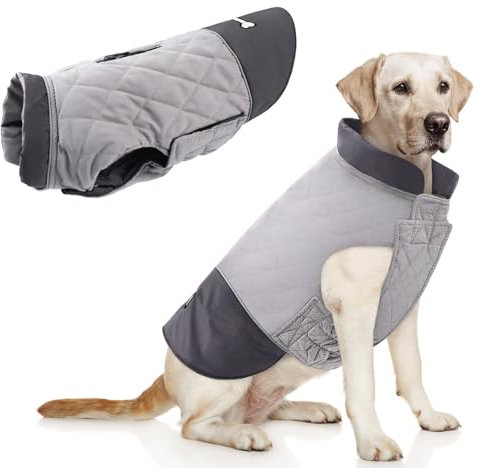 Idepet Winddichter Hundemantel Winter Warme Jacke,Anti-Schneeanzug Hundebekleidung für kleine mittelgroße Hunde mit Geschirrloch Blau Rosa Grau