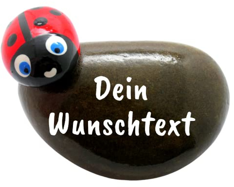 Andys Steinwelt Glücksstein mit Spruch in weißer Schrift und Glückskäfer, Handbemalt mit Wunschtext | Glücksbringer aus Naturstein ca. 8-10 cm | Handschmeichler Stein Mitbringsel Geschenk
