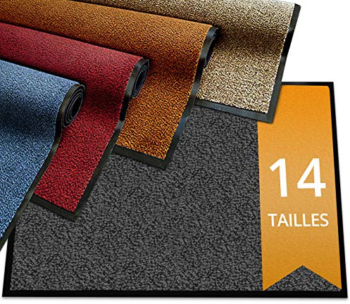 etm - Tapis d'entrée Premium - Tapis Antidérapant Absorbant Lavable - Paillasson d'entrée antisalissure pour Exterieur Interieur - Elimine Les saletés - Tapis de propreté (Sky Ocre 90x150 cm)