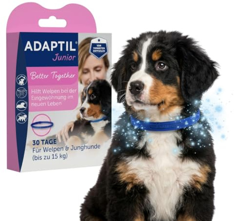 ADAPTIL Junior Halsband | Welpenhalsband | Anti-Stress für mehr Entspannung Welpeneingewöhnung | 30 Tage Anwendung | von Tierärzten empfohlen, klinisch getestet