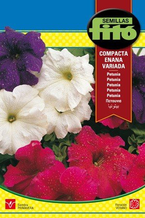 Semilla Petunia compacta enana variada - Semillas Fitó