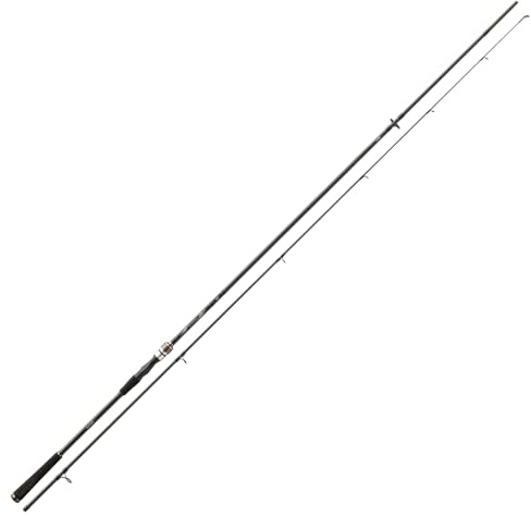 DAIWA Exceler Sea Trout 1062MH, 2 Teile, 3,15m, 15-40g, Meeres Spinn-Angelrute, 11665-310