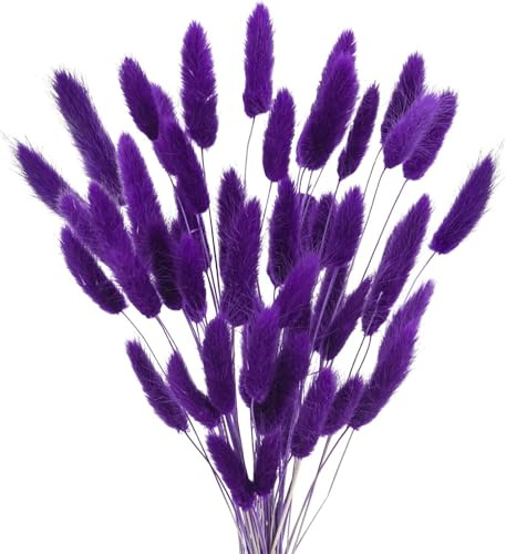 WANYI 60 Pièces 43CM Fleurs Séchées, Fleurs de Queue de Lapin Séchées, Fleurs Sechees Naturelles Decoration Boheme pour Cheminée Cuisine Table Séjour Chambre à Coucher(Violet)