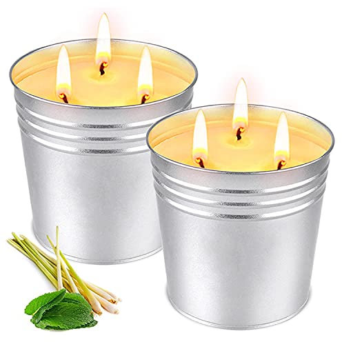 2x15 Oz Citronella Kerze draußen groß, OFUNCitronella Kerze Outdoor mit natürliche Sojawachs für Garten Camping Indoor Grillen Picknicks Schlafzimmer-schönen Geschenke Idee (30 Oz kerze)