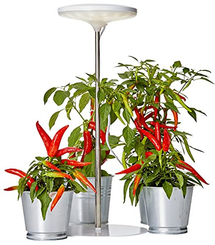 Northpoint LED Pflanzenleuchte Pflanzenlicht Pflanzenlampe 14W mit Teleskopstab und Standfuß 4000K Lichtfarbe