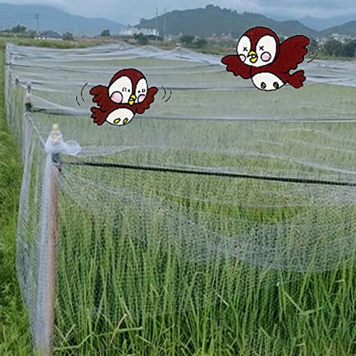 Filet Anti-Oiseaux Pour Plantes De Serre Extra Large Et Long De 20 M, Filet Anti-Oiseaux Blanc Pour Protéger Les Arbres Fruitiers Et Les Légumes Des Oiseaux, Des Écureuils,,L 20m/65.6ft-W 10m/32.8ft
