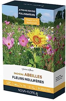 Novaflore - Prairies fleuries : Jachère abeilles 300 à 600 m2