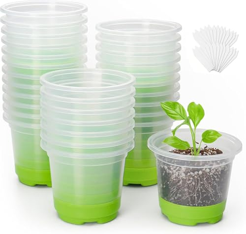 Neuytiky Vasi da coltivazione, 24 pezzi, 10 cm, trasparenti con base in silicone, Vasi per piante in plastica riutilizzabili, Vasi per piante trasparenti per piante grasse, Piantine per piante, Verde