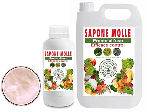 GSW© Sapone Molle Potassico per Piante, Insetticida ad Azione Abbattente contro Afidi, Cocciniglia, Effetto Corroborante Naturale e Lava Melata (5000 ml)