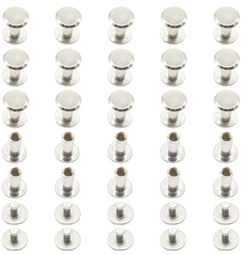 Ruidee Juego de 100 tornillos Chicago M5 x 10 mm, remaches de cabeza plana redonda para álbumes de cuero (DZBD/M5 x 10)