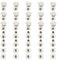 Ruidee Juego de 100 tornillos Chicago M5 x 10 mm, remaches de cabeza plana redonda para álbumes de cuero (DZBD/M5 x 10)