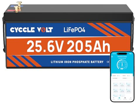LiFePO4 24V 200Ah Batterie mit 200A Bluetooth BMS, Max Belastung 5120Wh Lithium Batterie, 8000+ Zyklen Deep Cycle Lithium Akku, Perfekter für Wohnwagen, Inselanlage, Wohnmobil, Boote,Solar Off-Grid