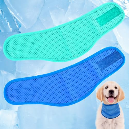 Dog Cooling Bandana – 2 Pack Instant Chill Neck Scarf for Dogs, Summer Cooling Collar for Small Medium Large Pets, Reusable Breathable Nylon Ice Bandana for Outdoor Heat Relief (Large)