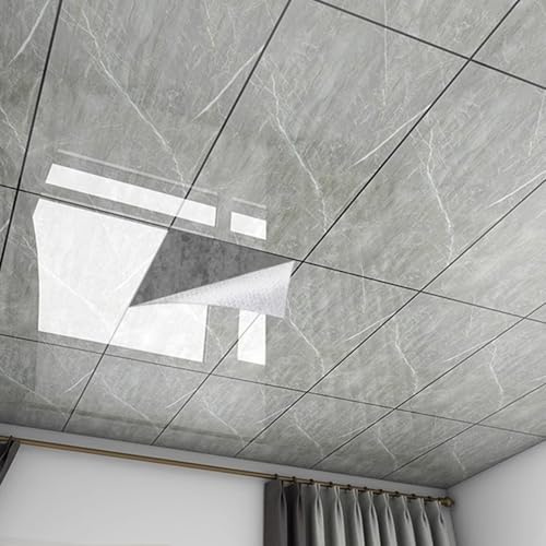 ByteRunning Dalle De Plafond,Plaque pour Plafond Salle De Bain A Coller,Panneaux De Plafond Autocollants,LéGer Et Flexible,Peut êTre Coupé,pour Bureaux,Magasins,Ateliers