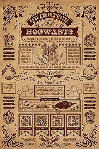Harry Potter Poster Quidditch at Hogwarts (61cm x 91,5cm) + 2 St. Schwarze Posterleisten mit Aufhängung