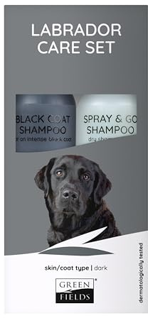 Greenfields Hundeshampoo Geschenk Set für Schwarze Labrador (dunkles Fell) - 2 x 250 ml