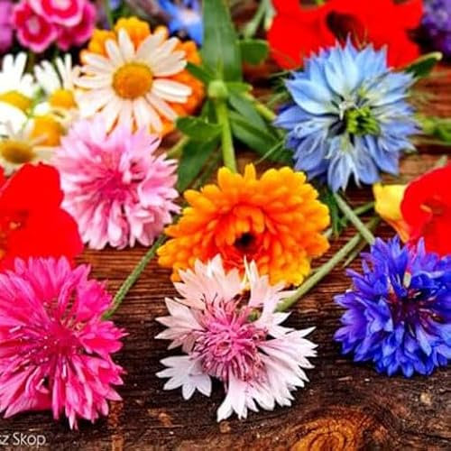 Edible Flowers and Herbs Mix 0,6 g Seeds + Plant tag + Freebie - tast and Aromatic