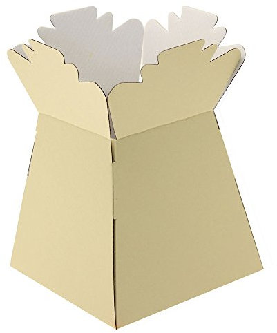 APAC 5 x Ivory Living Vase Flower Box Flower Bouquet Transporter, Sweet Tree Box