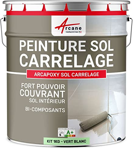 ARCANE INDUSTRIES Peinture carrelage Sol, résine pour recouvrir faïence et Carreaux : Arcapoxy Sol carrelage - 1 kg (jusqu'à 5 m² en 2 Couches) Vert Blanc - RAL 6019