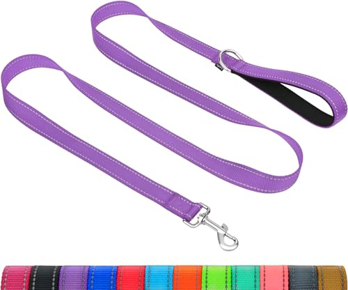 Taglory Guinzaglio per Cani Riflettente con Manico Imbottito e Gancio in Metallo, Nylon Resistente Addestramento Cane Guinzaglio, 1.2 m x 2.0 cm, Viola