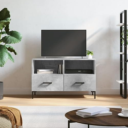 puraday TV-Schrank Wohnzimmer Holzwerkstoff 80x36x50 cm Betongrau Schlafzimmer Stereoschrank Fernsehschrank 2 Fächer und 2 Schubladen TV-Regal TV-Möbel Präsentatio Dekoartikel