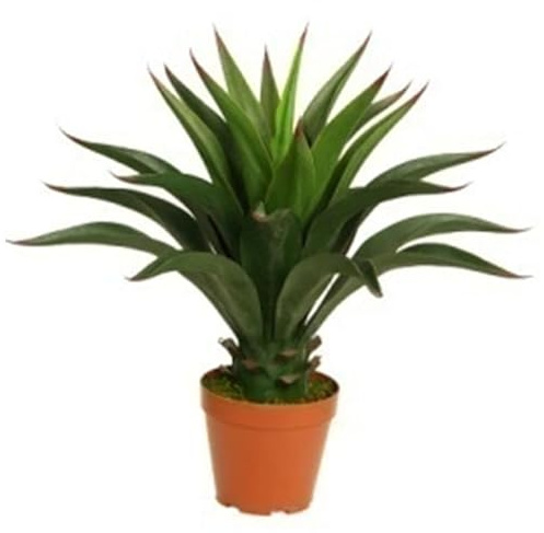 Leaf Design UK Artificial Yukka Tropical House Plant