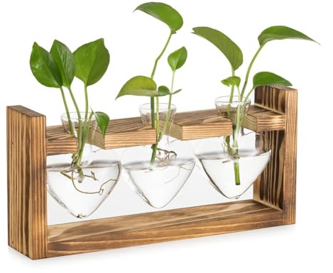Osmond Glass Propagation Station for Plants: Vintage Vases Decoration with Wooden Frame Set for Living Room Office Shelf