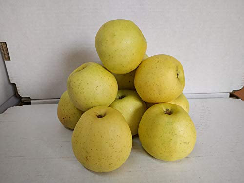 Caja Todo Manzana Golden Primera 5 kilos