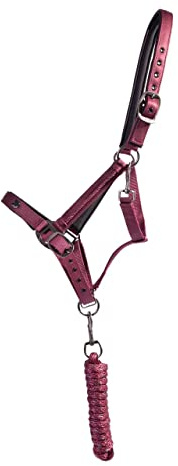 ARBO-INOX Pferdehalfter Set – 2-Fach verstellbar – Inklusive Führstrick – Mit Herz-Detail und Zierkordel